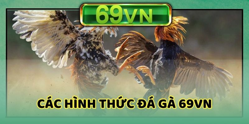Các hình thức đá gà 69VN cho hội viên trải nghiệm