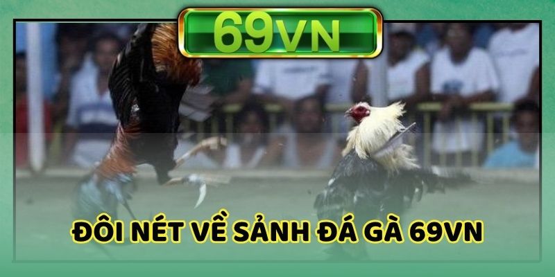 Chơi đá gà 69VN với đầy đủ thông tin chính xác