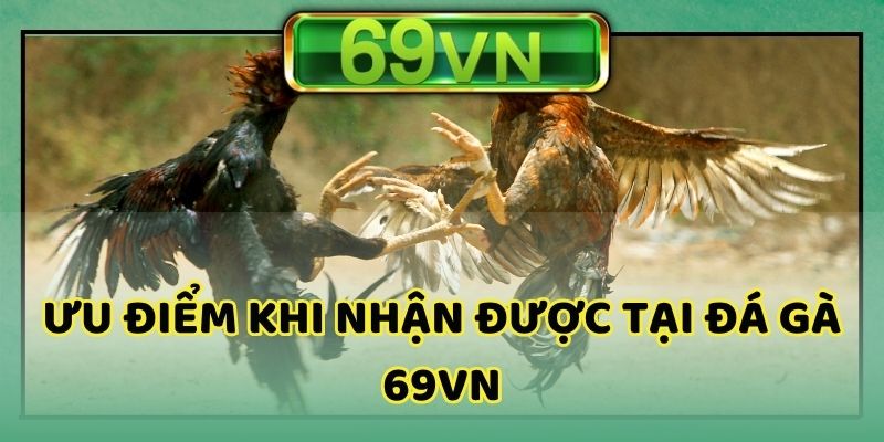 Điểm mạnh đá gà tại nhà cái 69VN mang đến